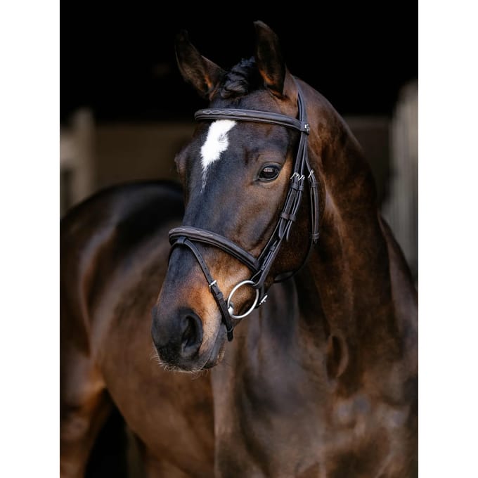 Classic Horse Riding Bridles LeMieux