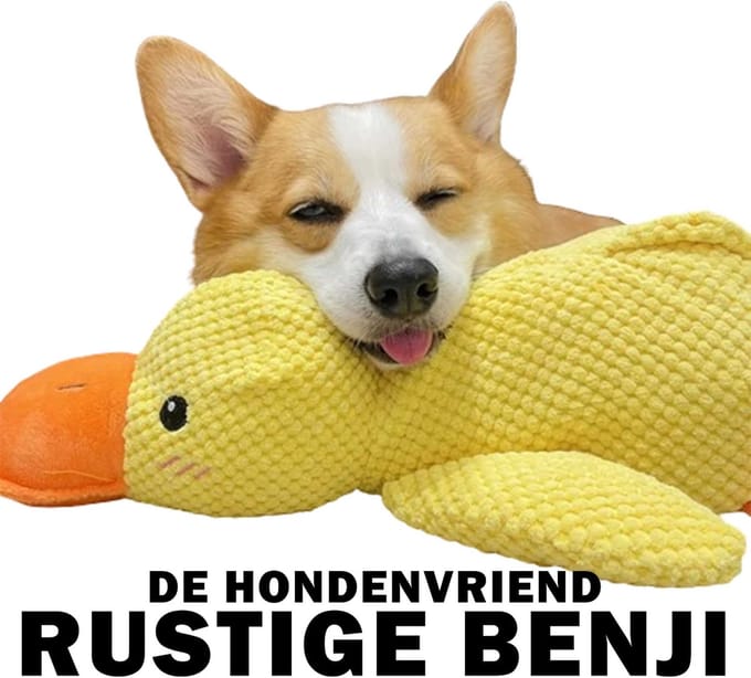 Rustige Benji de Hondenvriend - Knuffel - Eend - Kalmerend - Rustgevend - Maakt lief eendengeluid - Kwaakt - Grote honden