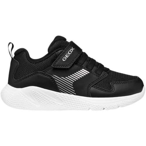 Lage Sneakers Geox -