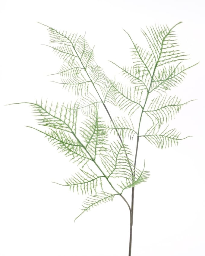(Best) Asparagus spray green 80 cm kunstbloem Erutan Avon