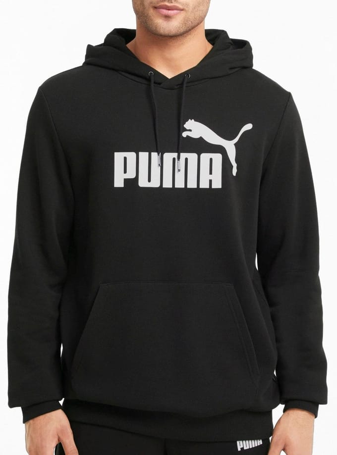 Capuchon sweaters Puma Essentials Big Logo Hoodie