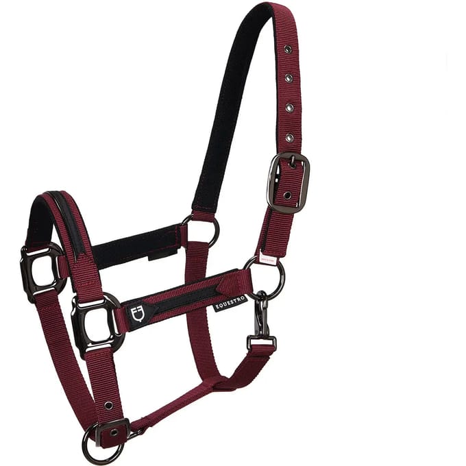 Nylon halster en longe voor paard in nylon Equestro
