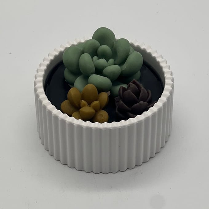 Kaars in glazen pot - cactus - 497