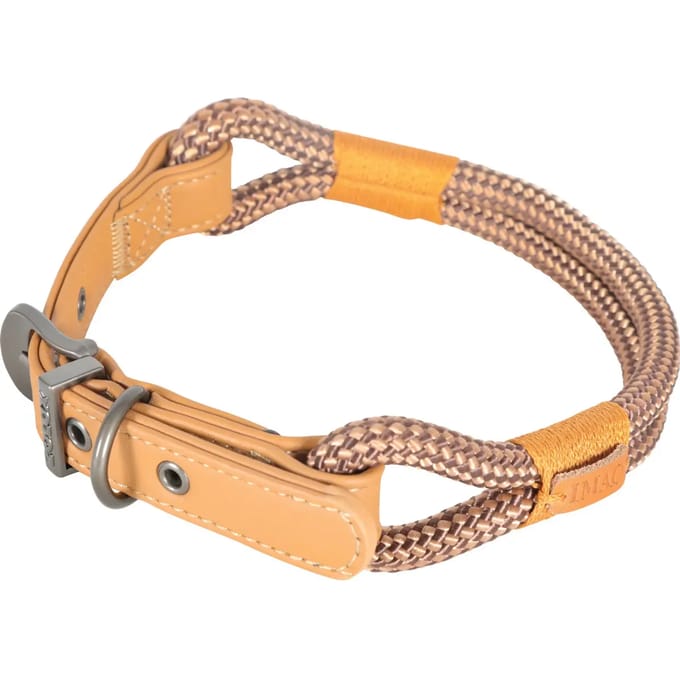 Verstelbare hondenhalsband Zolux Imao Hydepark 6mm