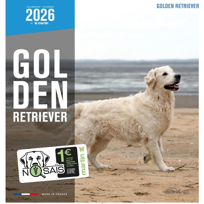 Kalender Martin Sellier Golden Retriever