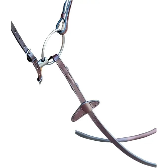 Teugels Equiline