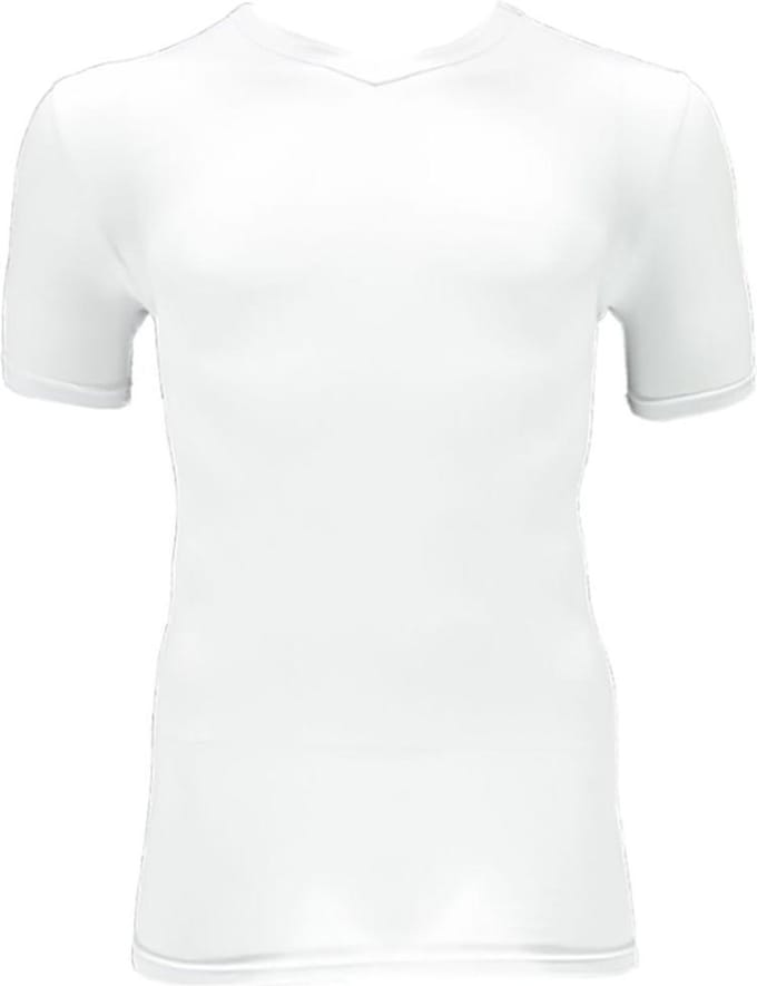 Apollo Heren T-shirt Bamboo Basic V-hals Wit M 2 stuks