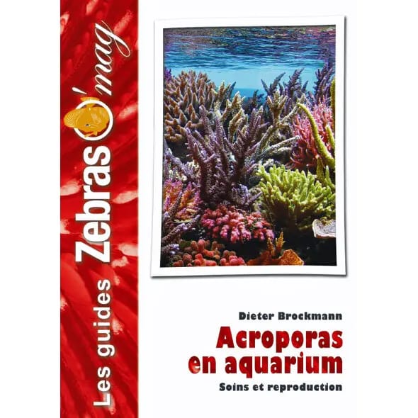 Acropora's in Aquarium Martin Sellier
