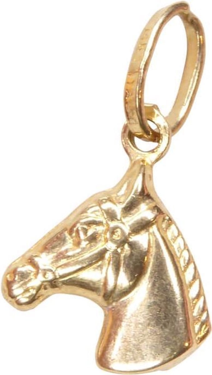 Gouden paardenhoofd hanger