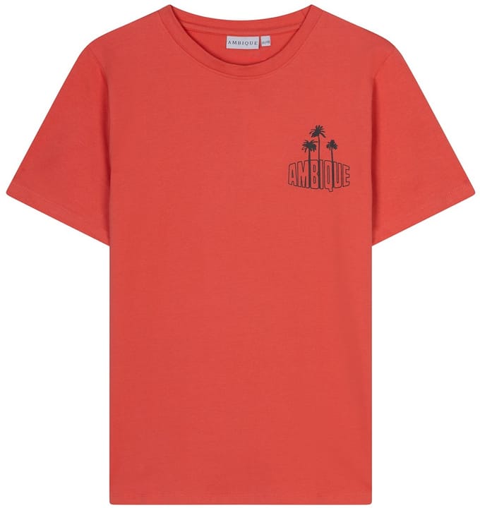 Preston - Coral - 134/140