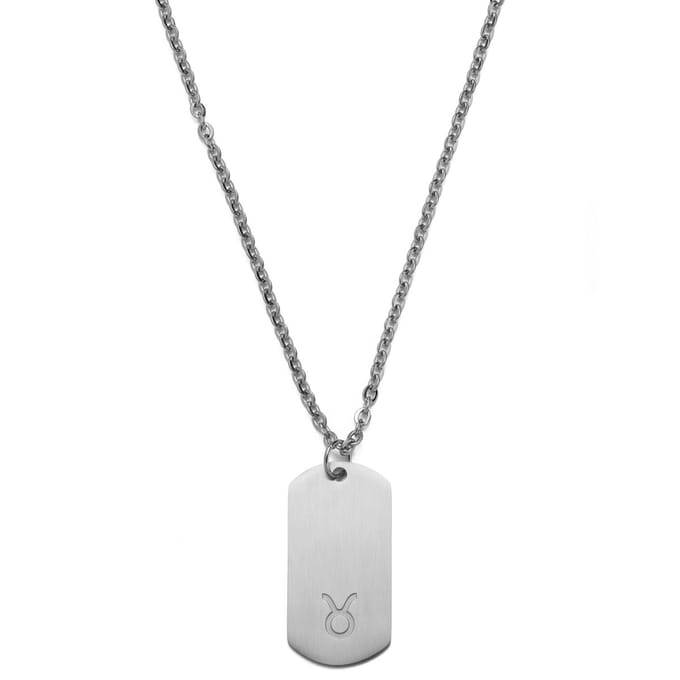 Zilverkleurige Stalen Ketting met Sterrenbeeld Stier