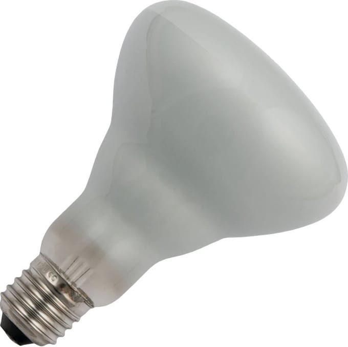 Schiefer E27 R95 Reflector Gloeilamp | 200W 2700K 220V/240V Mat Zilver 30° | Dimbaar