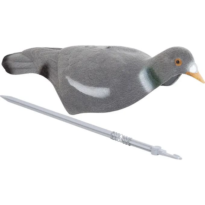 Lok Jack Pyke Pigeon Shell