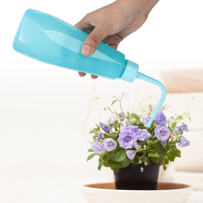 Lot de 2 bouteilles d'arrosage pour plantes succulentes et fleurs, 480 ml pink