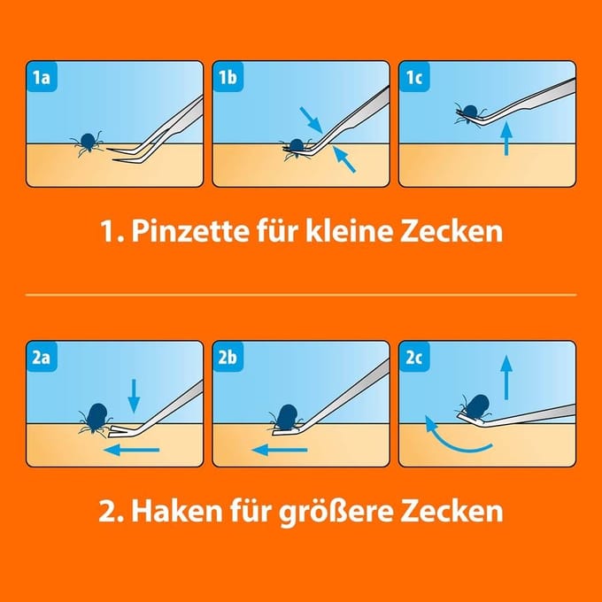 Ardap Tekentang met Pincet Roestvrij Staal