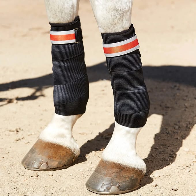Set van 2 elastische steunbanden voor paarden Weatherbeeta Therapy-Tec