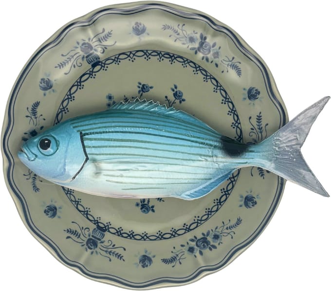 Cernia / Tandbaars 38 cm