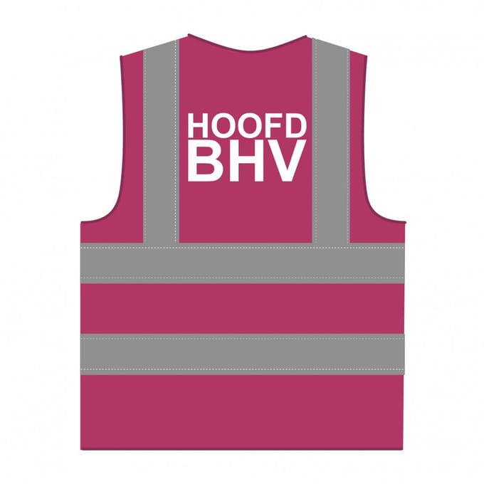 Hoofd BHV hesje RWS lichtpaars