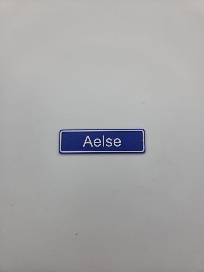 3D plaatsnaam speldje Aelse