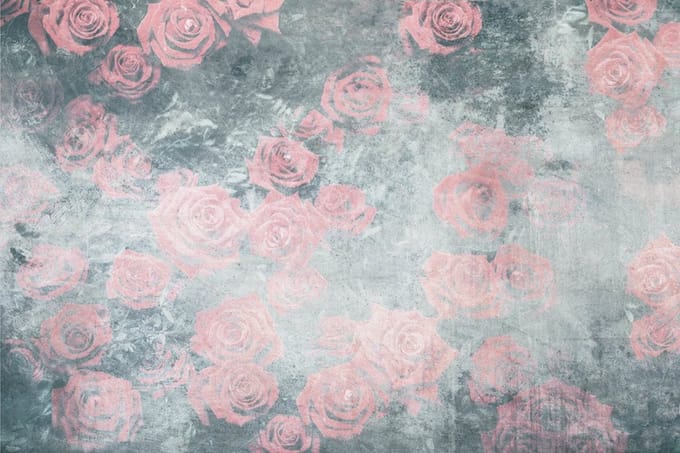 Fotobehang - Roses Abstract I 375x250cm - Vliesbehang