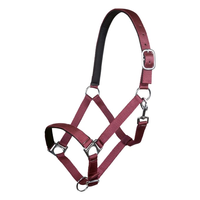 Halster voor paarden HKM Stars