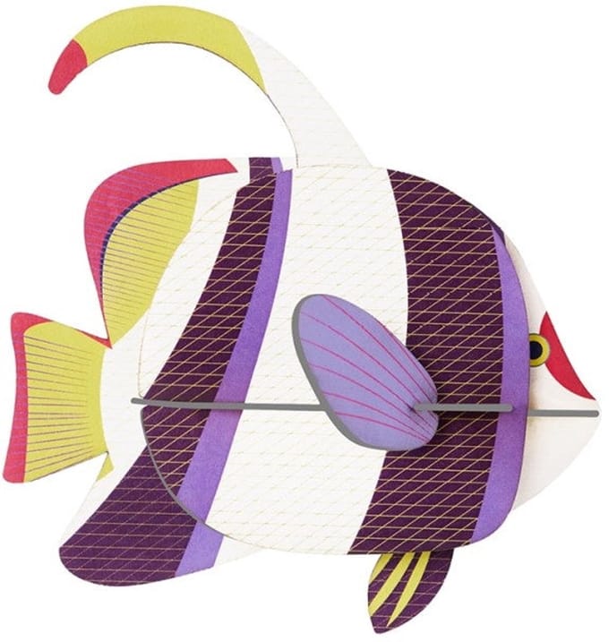 Zeedieren Klein - Zee Keizervis