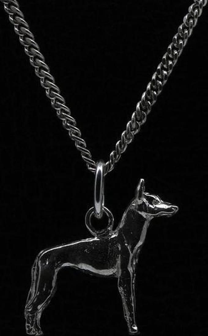 Zilveren Cirneeco deel'etna ketting hanger - klein