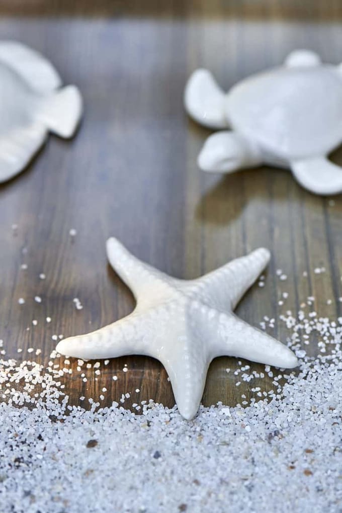 Deep Ocean Decoration Starfish