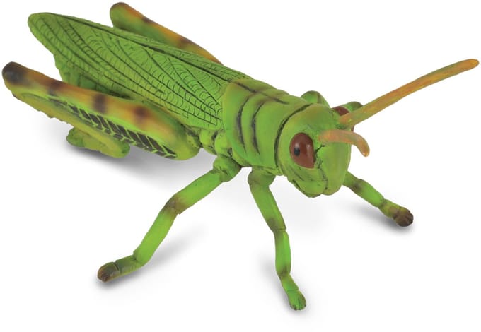 COLLECTA Figurine - Sprinkhaan - (M) - Insecten - Handgeschilderd - Miniatuur
