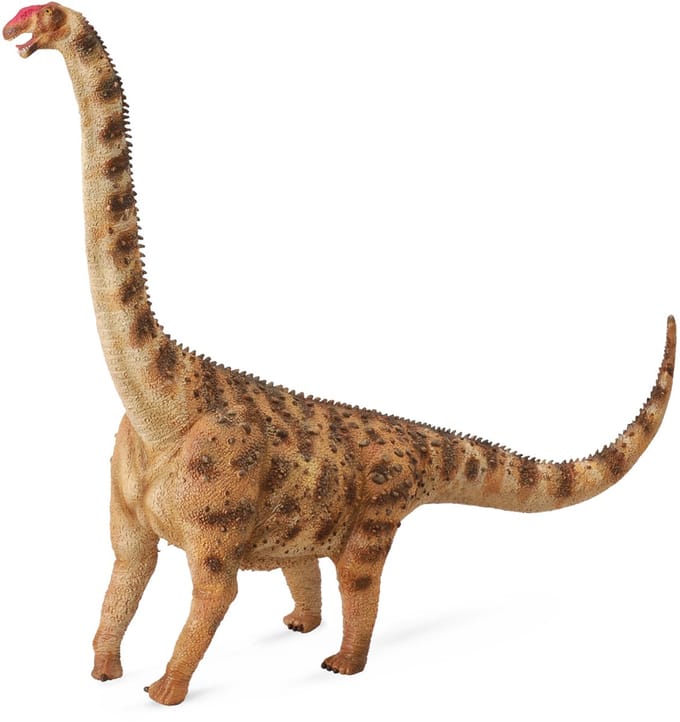 Collecta Prehistorie (XL): ARGENTINOSAURUS 24x4.5x18cm