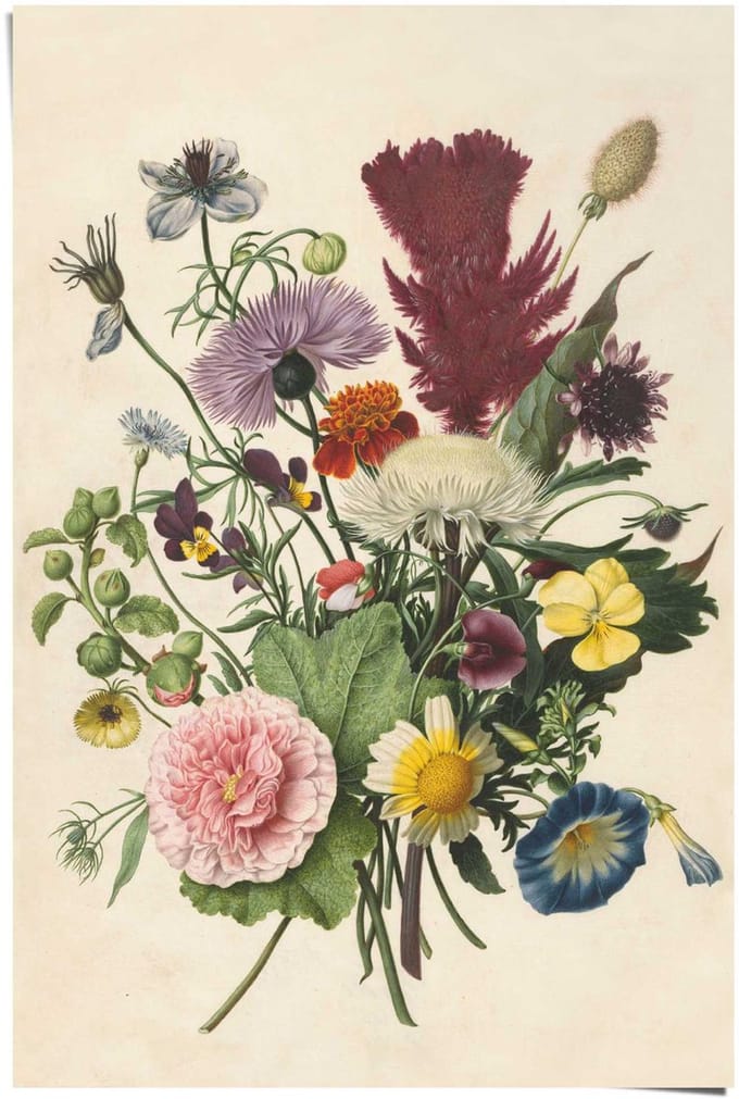 Poster Bloemen boeket - 91,5 x 61 - Papier - REINDERS
