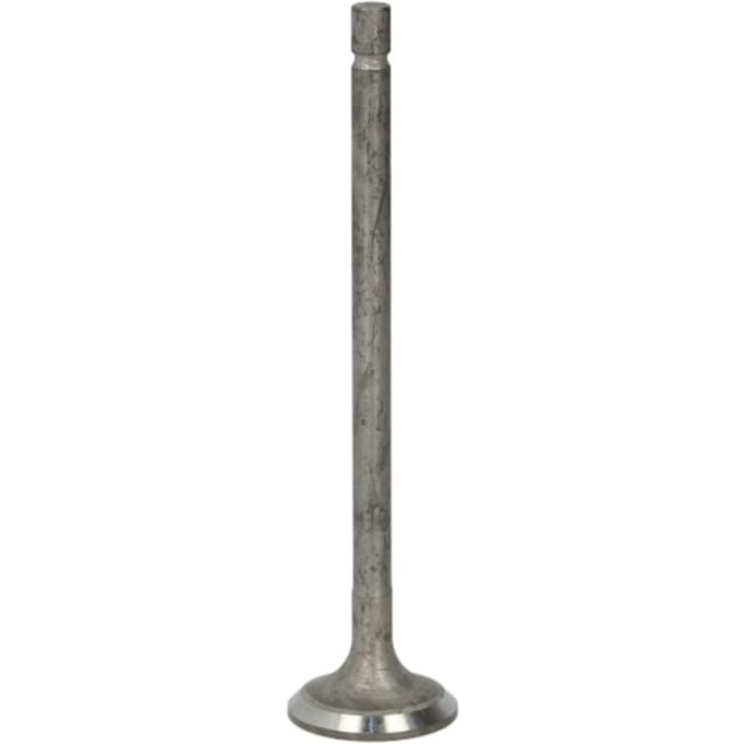 Uitlaatklep FRECCIA R6573/RNT