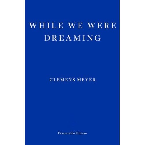 While We Were Dreaming - Clemens Meyer