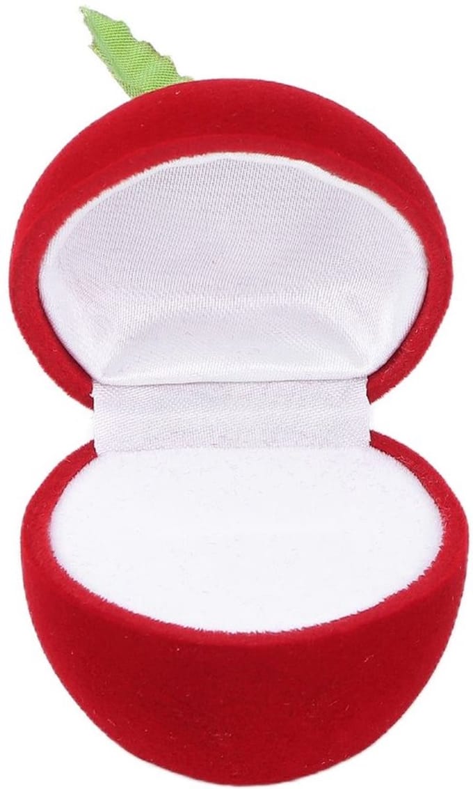Dailygoody - Ring-opbergdoos - Trouwringbox - Schattig ontwerp - Rode
