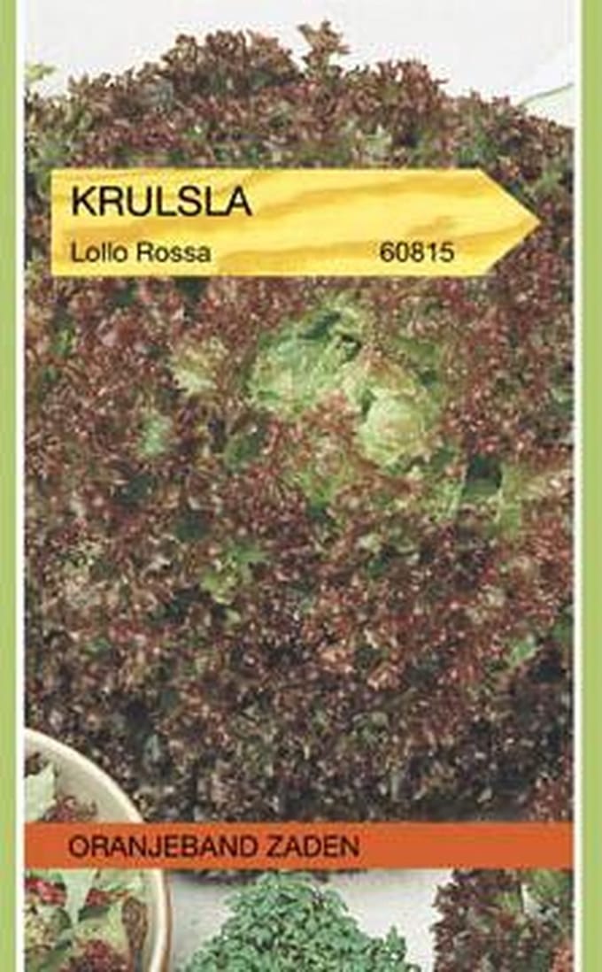 Krulsla Lollo Rossa