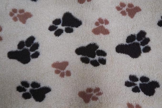 Vetbed beige met poot afdruk 107x70 cm