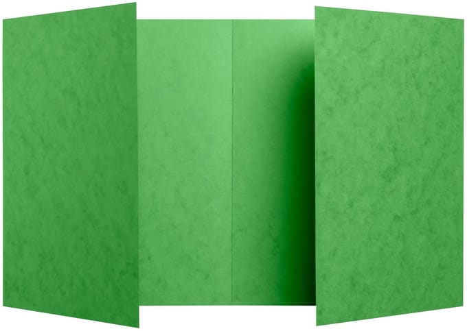 Exacompta 100x Schriftomslag in glanskarton 225g - 17x22 cm - Groen - 32123E