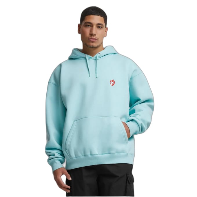 Hoodie Zoo York Zm243-039-2 Apple