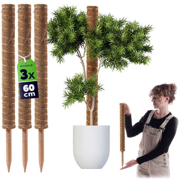 Cande kokosplantenstok 60 cm potsteun 3 st.