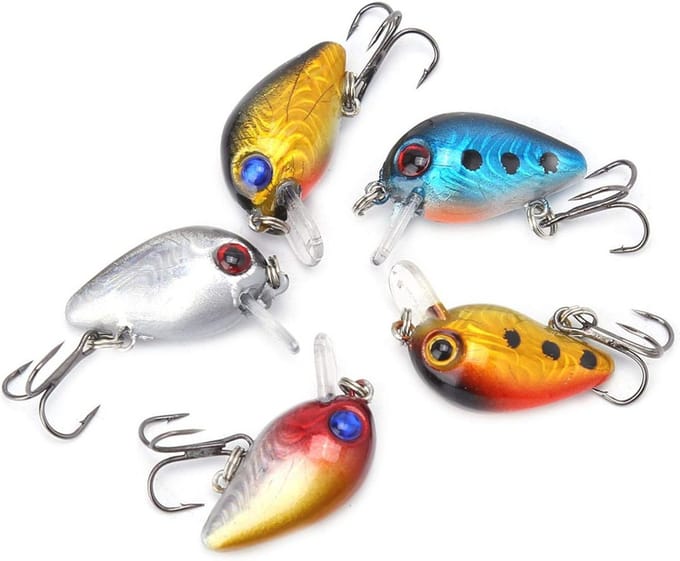 Mini Minnow Visaas 3 cm - 5 Stuks met Holografische Ogen en Transparante Doos