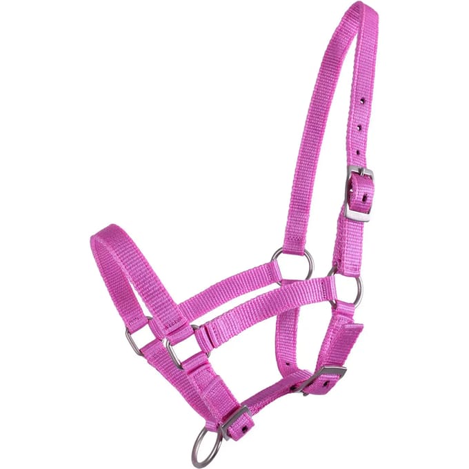 Halster voor veulen Q-essentials