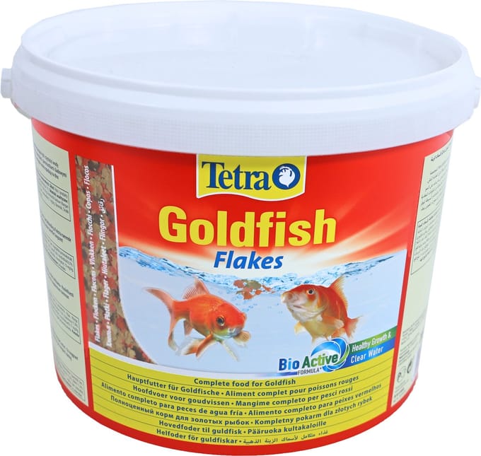 Tetra goldfish - emmer