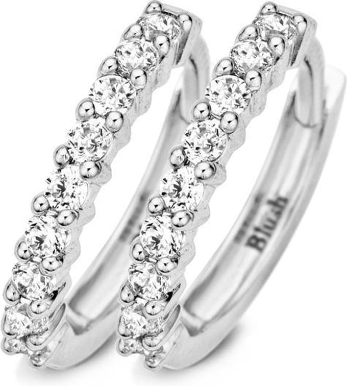 Blush Oorbellen 7166Wzi - Wit Goud (14Krt.) Met Zirconia