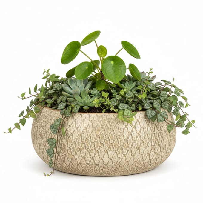 Mica decorations Bloempot / schaal Madeira - creme - terracotta - 13 x 27 cm - schubbenpatroon