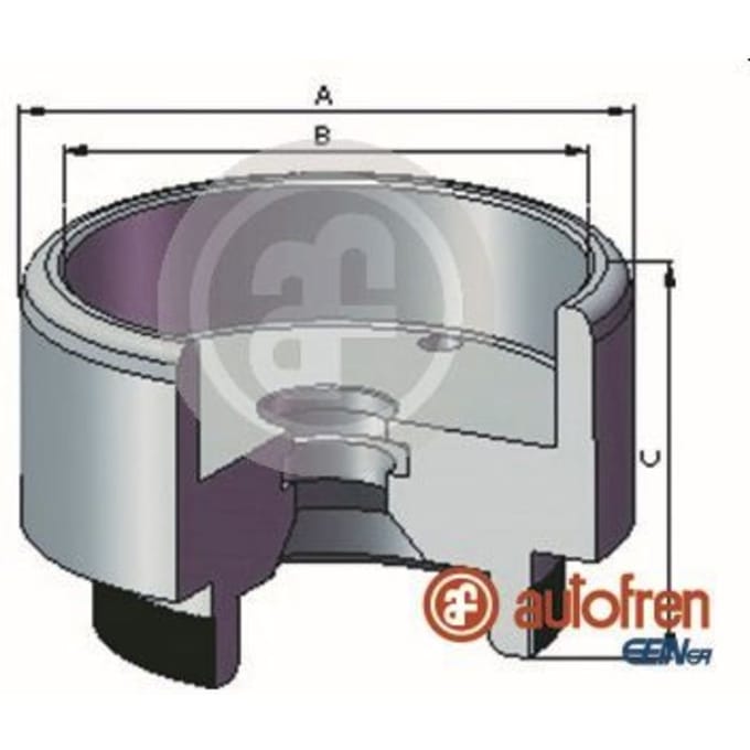 Zuiger, remklauw AUTOFREN SEINSA D025721