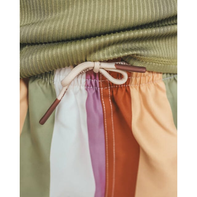 Multi Stripe | Swim Shorts
