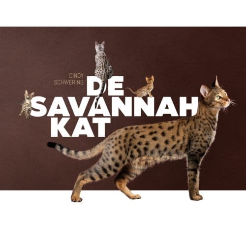 De Savannah Kat