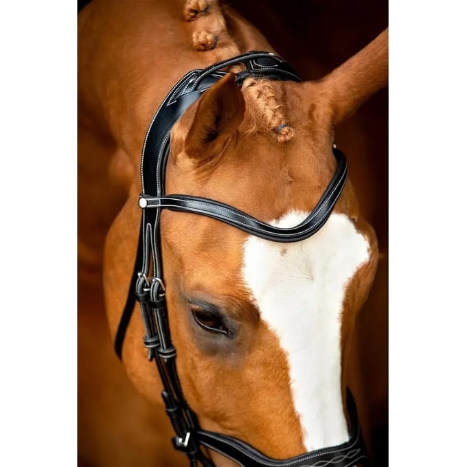 Veganistisch leren hoofdstellen Montar Monarch Jumping ECO