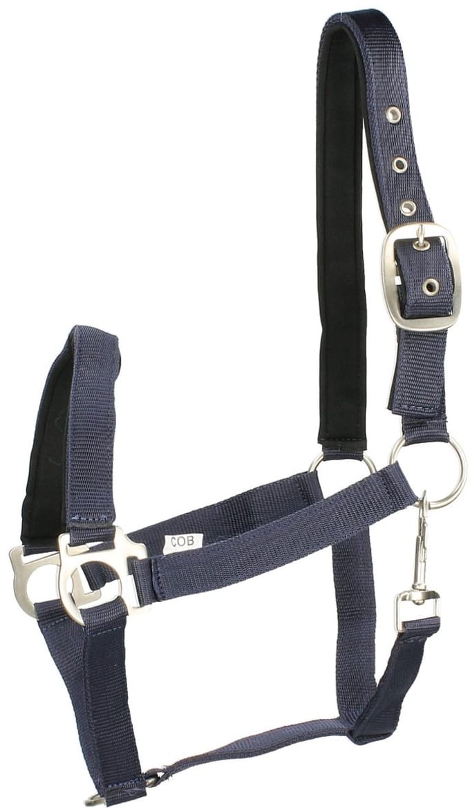 Epplejeck Halster Epplejeck Esprit Donkerblauw-zwart