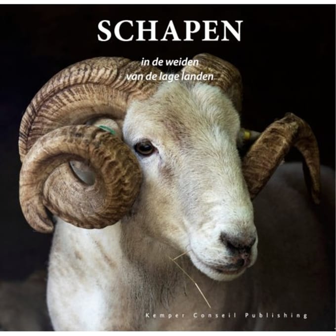Schapen In De Weiden Van De Lage Landen - Jan Smit